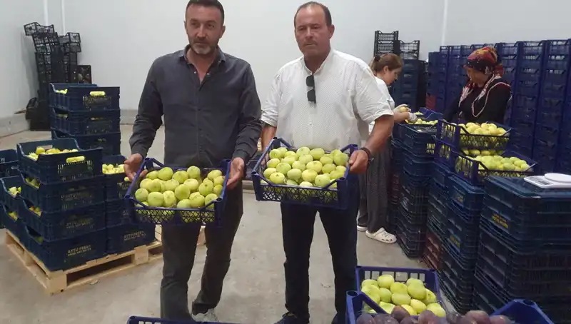 Mersinli Çiftçilerin Yüzünü Güldüren İhraç Fırsatı