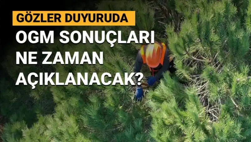 OGM Personel Alımı Duyurusu: 3 Bin 477 Sözleşmeli Pozisyonun Sonuçları Ne Zaman Açıklanacak?