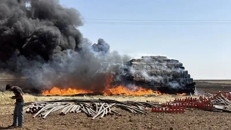 Mardin’deki Anız Yangınları Ekosistemi Tehdit Ediyor: Çocuklar ve Tarım Üzerindeki Etkileri