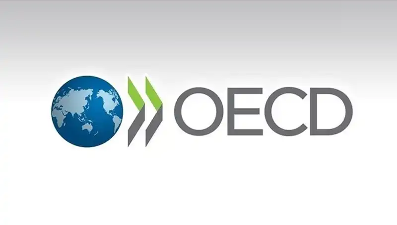 OECD, Türkiye'nin Ekonomik Büyüme Tahminini Yükseltti