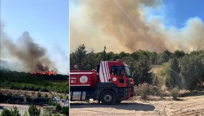Gebze'de Orman Yangını: Doğa, İtfaiye Ekipleri Tarafından Kurtarıldı