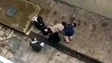 Kampüs Ortasında Yaşanan Köpek Paniği: Şok Edici Düşüş!