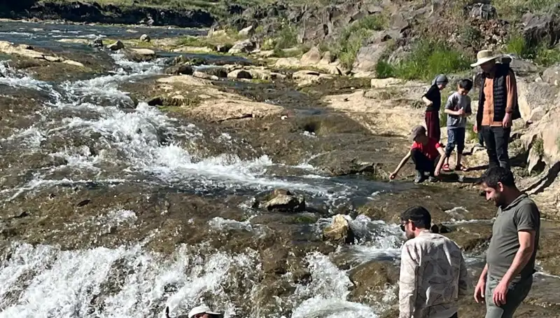 İnci Kefalinin Göçü: Turistlerin Akınına Neden Oldu
