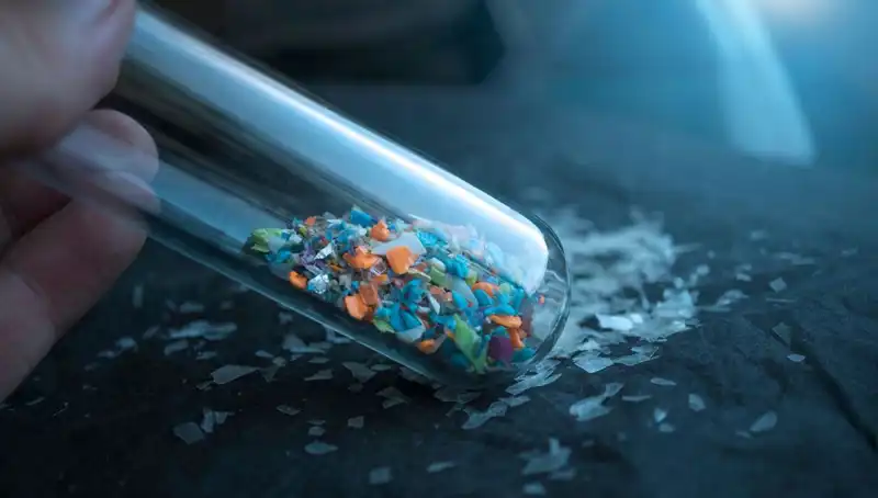 Mikroplastikler Beyin Sağlığını Tehdit Ediyor: Bilimsel Bulgular Ortaya Çıktı