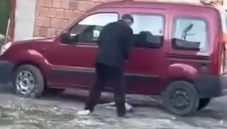 Sokak Ortasında Köpeğe Yönelik Şiddet Olayı: Hayvanseverler Tepkide Birleşti