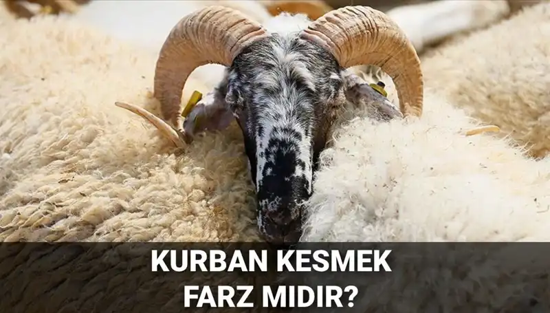 Kurban Kesimi Farz mı? Diyanet'in Görüşü ve Şartlar Nelerdir?
