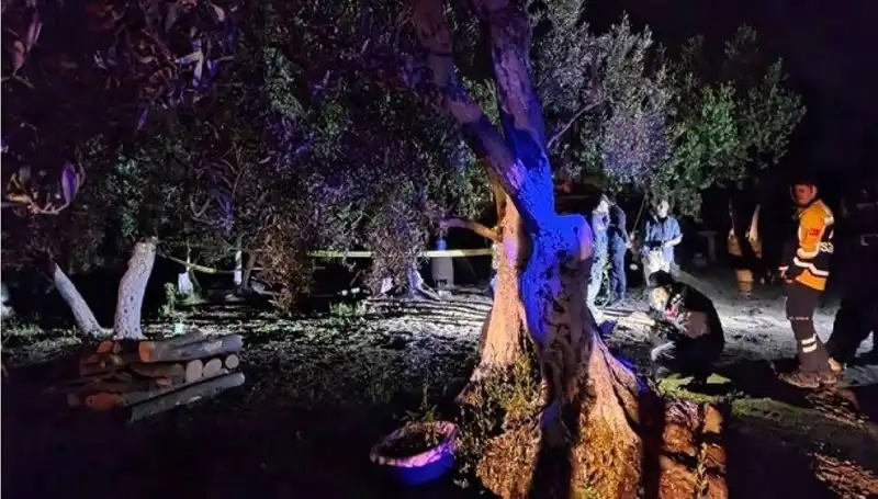 Çiftlikteki Baltalı Vahşet: Olayı Yapan Kişi Tutuklandı
