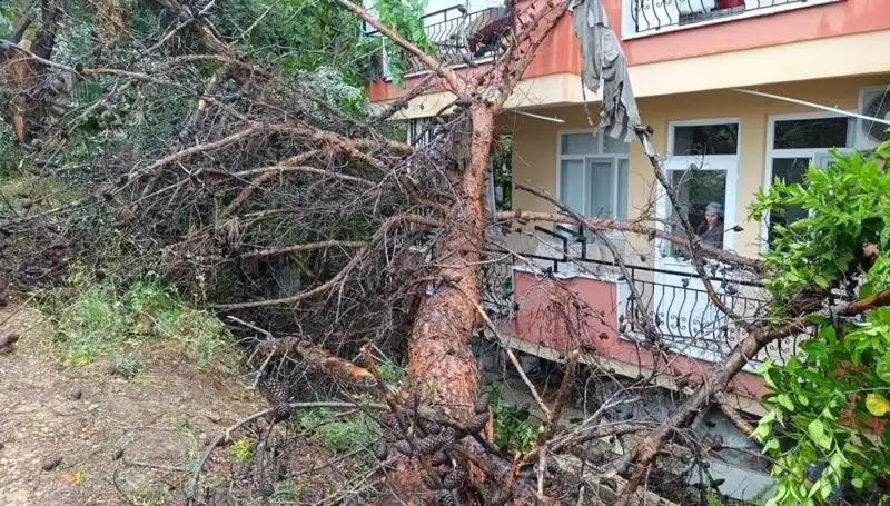Yağmur Sonrası Devrilen Bina, Şehirde Panik Yarattı