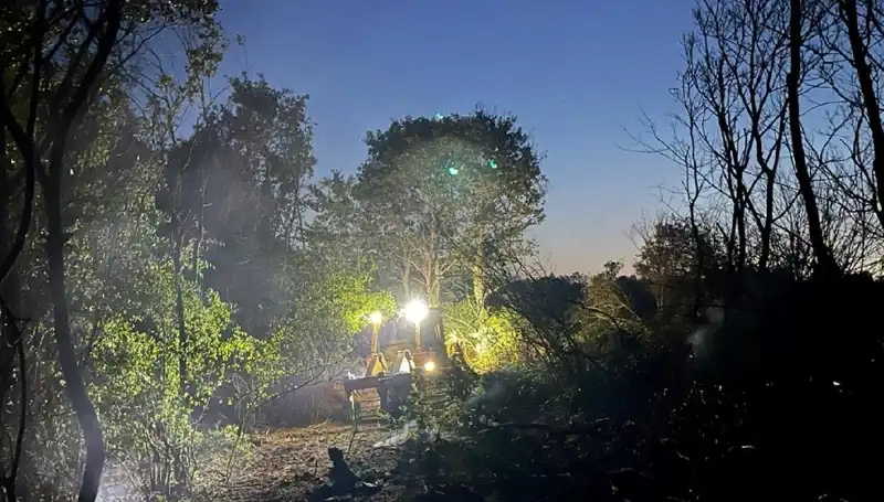 Edirne'deki Orman Yangını Kontrol Altına Alındı: Detaylar