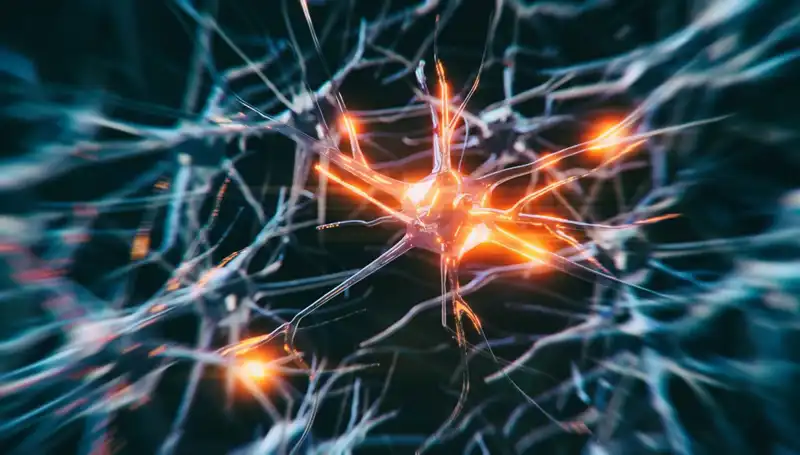 Alzheimer Vakalarında Şok Artış: Nedenleri ve Çözüm Yolları