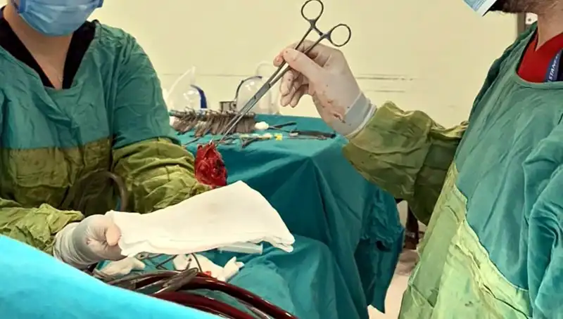 Kalp Kapağı Çürümesi: 7 Saatlik Mucizevi Ameliyatın Ardındaki Hikaye
