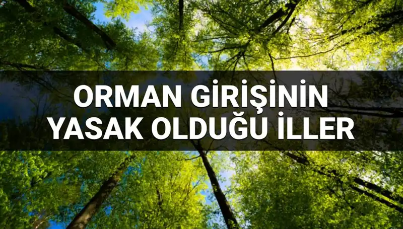2025 Yılında Hangi İllerde Ormana Girmek Yasak!